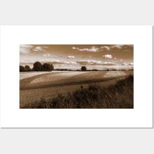 Splendid scenic sepia view of German farmland of Schleswig-Holstein Posters and Art